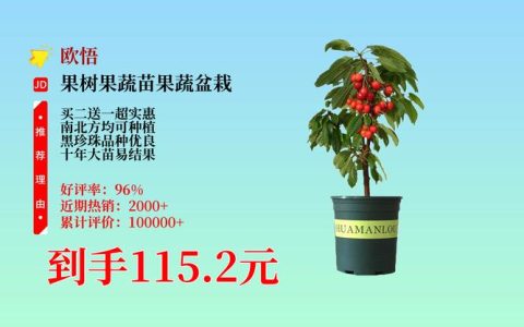 樱桃苗多少钱一颗？2026年最新价格表与品种选购指南