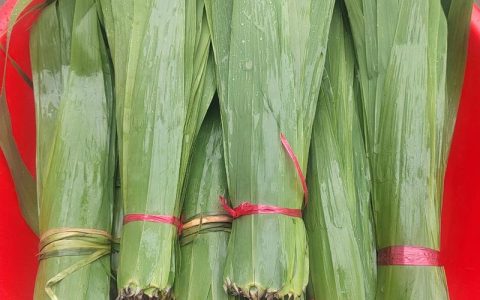 芦苇叶多少钱一斤？规格、产地与采购量影响报价