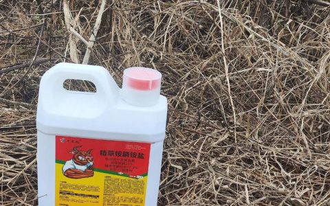 草甘膦铵盐除草剂怎么用才安全高效？使用方法与注意事项全解析