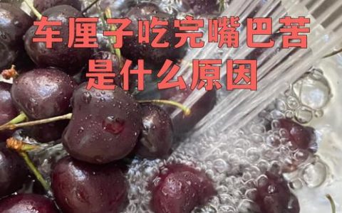 樱桃苦是什么原因？揭秘樱桃发苦的5大常见原因及解决方法