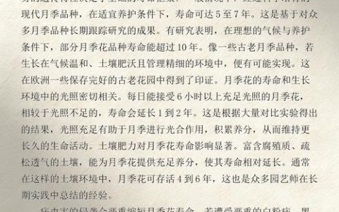 月季花寿命一般是几年？延长花期与寿命的6大核心技巧