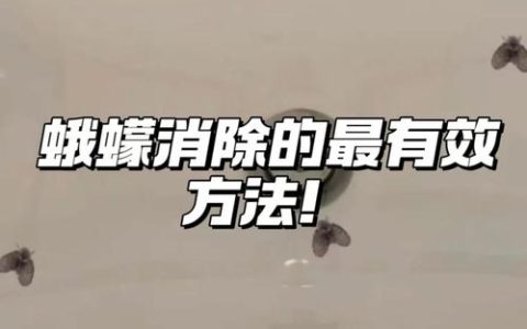 去除小飞虫的小妙招：家庭园艺常见虫害物理与天然防治全攻略