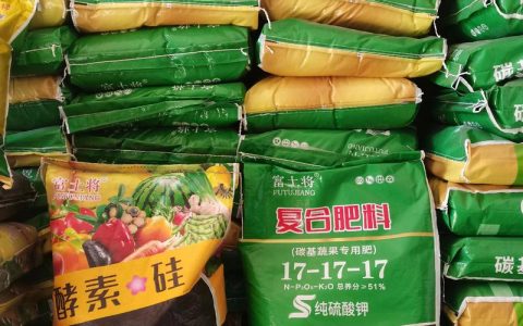 丝瓜追肥用什么肥料好？家庭种植全攻略