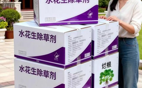 花生苗后除草剂有哪些？安全高效的选择指南