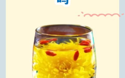 什么样的菊花去肝火效果最好？杭菊与怀菊的药用园艺指南