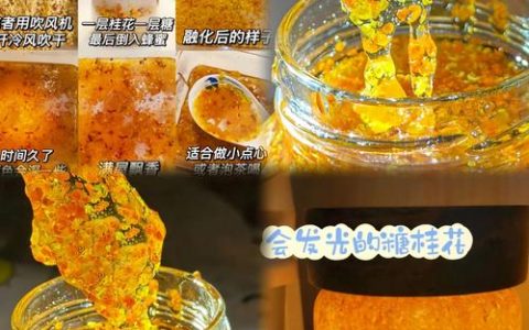 桂花蜜是怎么做的？家庭自制正宗桂花蜜的详细步骤与注意事项