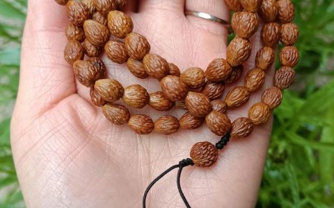 酸枣核的功效与作用：安神助眠、敛汗生津的天然良药