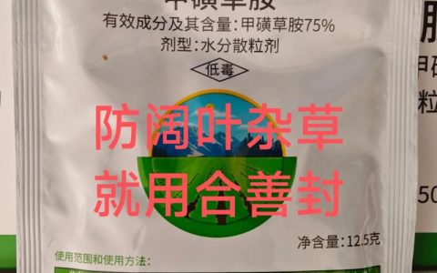 打阔叶草最好的除草剂是什么？高效安全方案全解析