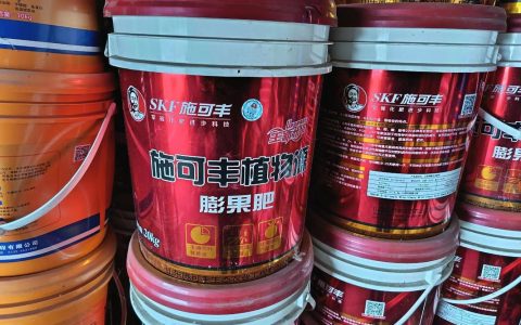 桔子树用什么肥料最好？家庭科学施肥全攻略