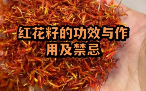 红花籽的功效与作用：降脂降压与美容养颜的天然油脂