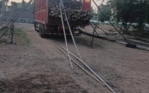 毛竹价格多少钱一吨？规格、产地与季节如何影响报价