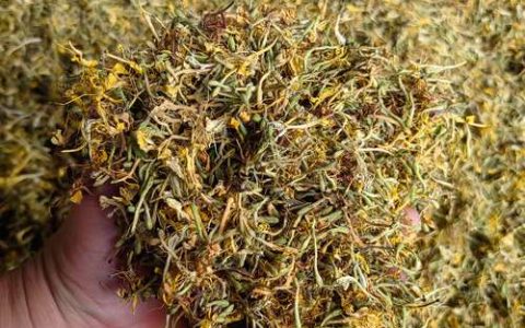 干金银花价格多少钱一斤？产地、质量与季节的影响分析