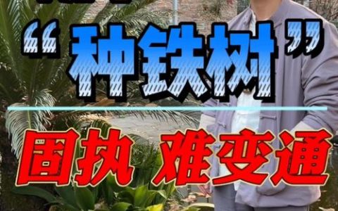 院子种树避坑指南：这5种树坚决不能种，否则后悔莫及