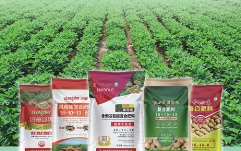 花生施肥用什么肥料？家庭种植全攻略
