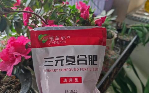 什么花喜欢磷酸二氢钾？掌握这5类花，轻松养出爆盆花
