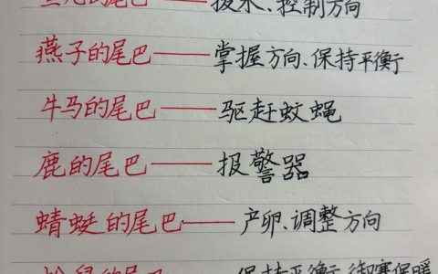 动物的尾巴有什么用处？揭秘生物界的“多功能尾巴”