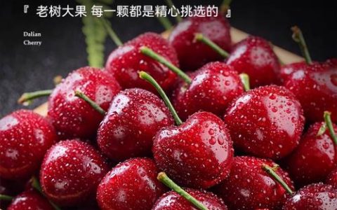 樱桃（车厘子）价格多少钱一斤？受规格、产地、季节影响