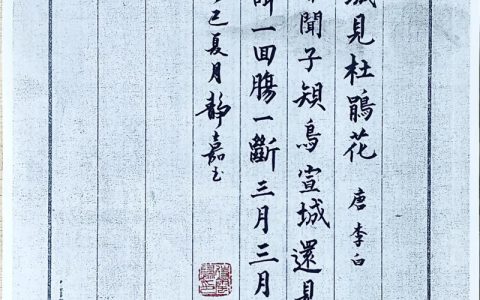 杜鹃花最经典十首诗及其文化寓意与养护指南
