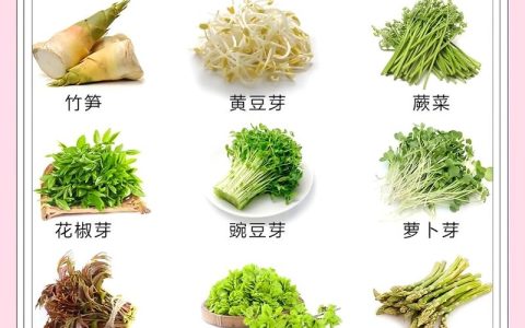 香椿是芽类蔬菜吗？春季常见的芽类蔬菜是藕芽还是香椿？一文详解