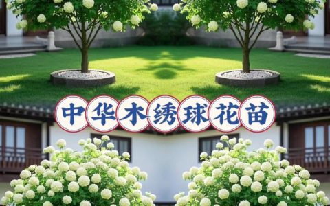 中华木绣球树苗价格表：规格、产地、采购量如何影响报价