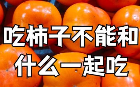 柿子树种植与选购全攻略：品种选择、结果年限与苗木质量判断