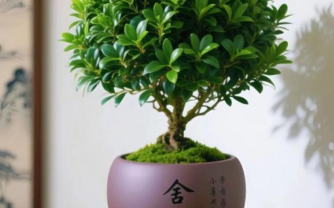 原来金丝楠木不是一种树？揭秘“金丝楠”的真实身份与鉴别