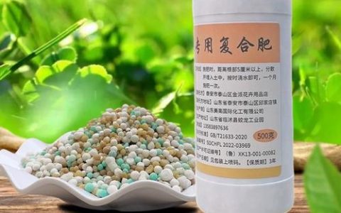 家庭养花施肥全指南：什么肥料适合花？怎么施？