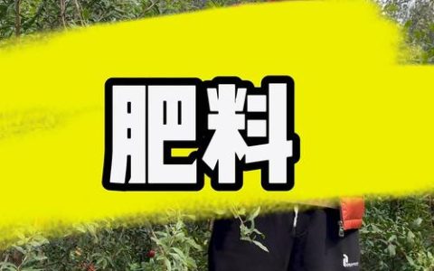 石榴树施肥用什么肥料最好？家庭盆栽与庭院种植全攻略