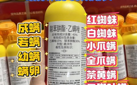 月季红蜘蛛防治：最有效的用药与预防指南