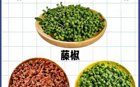 青花椒和红花椒哪个更麻？两者区别与烹饪应用指南