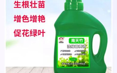 小树苗用什么肥料长得快？科学施肥助你养出壮苗