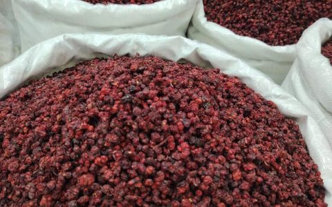 五味子的功效与禁忌：药食同源的“收敛”之王，安全食用指南