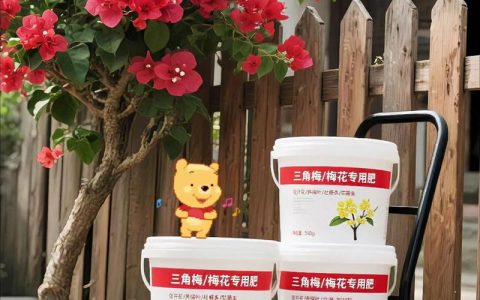 三角梅施肥用什么肥料？家庭养护施肥全攻略
