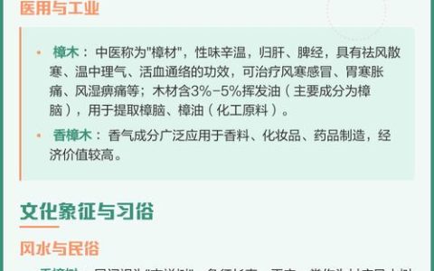 樟木与香樟木的区别：树种、用途与选购全解析