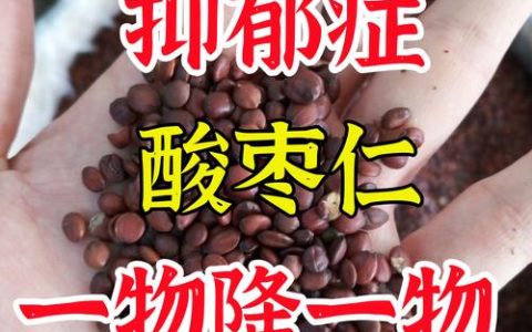 酸枣皮的功效与作用及食用安全性警示