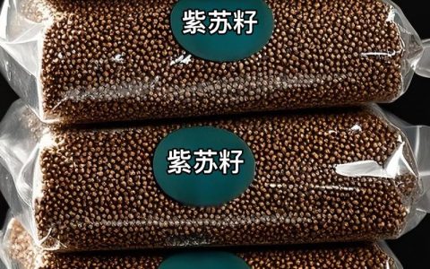 紫苏种子采购避坑指南：如何筛选正规供应商与辨别种子质量