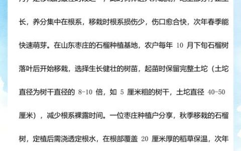 石榴树移栽最佳时间与成活率提升全攻略