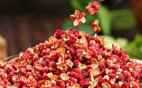 花椒品种怎么选？大红袍、九叶青与茂汶花椒的深度对比