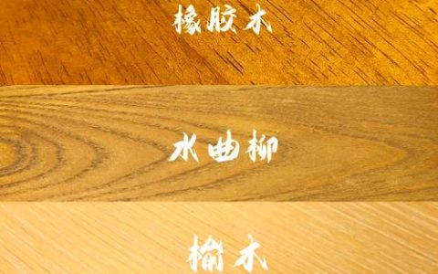 白蜡木与橡木乔木树种对比：材质、树形与移栽养护全指南