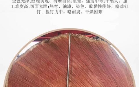 金丝花梨木（海南黄花梨）的植物学特征与鉴别