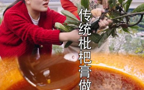 新鲜枇杷膏怎么熬止咳效果好？从品种选择到熬制的全攻略