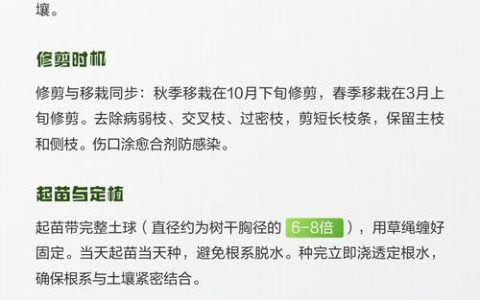 桂花树什么时候移栽最好？最佳时间与全流程操作指南
