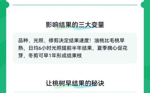 桃树几年才能结果？嫁接苗与实生苗的时间差异及促花促果指南