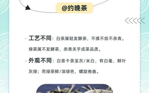 白茶和绿茶哪个更健康？2026年最新对比分析