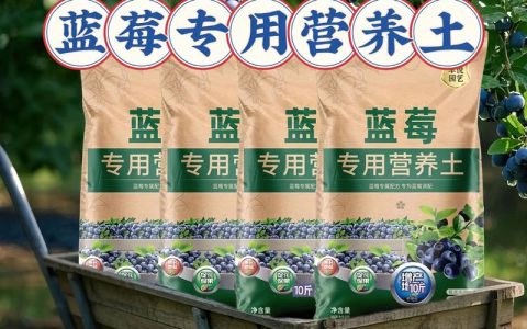 蓝莓树最喜欢的肥料是：酸性有机肥与专用复合肥