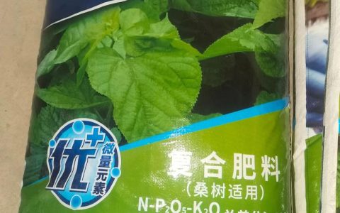 桑树施肥与养护全攻略：桑树施什么肥料最好？