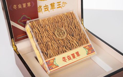 冬虫夏草价格是多少？规格、产地、采购量影响报价