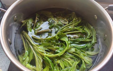 香椿焯水需要几分钟？掌握正确做法降低亚硝酸盐