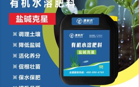 盐碱地土壤改良与植物养护指南