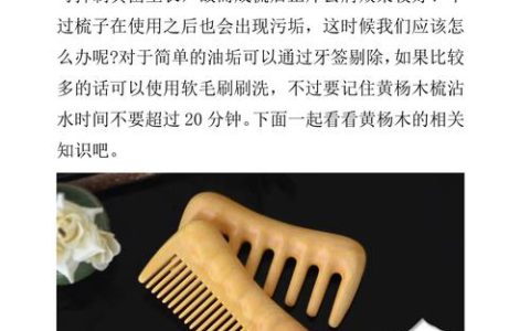 黄杨木梳为何成为高端造型苗？小叶黄杨修剪与成型技术全解析